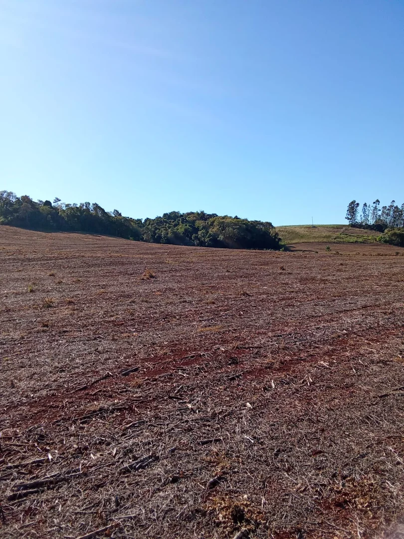 quarto áreas de terra São José do Inhacorá  RS imagem 4