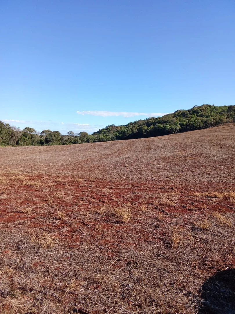 áreas de terra São José do Inhacorá  RS imagem 10