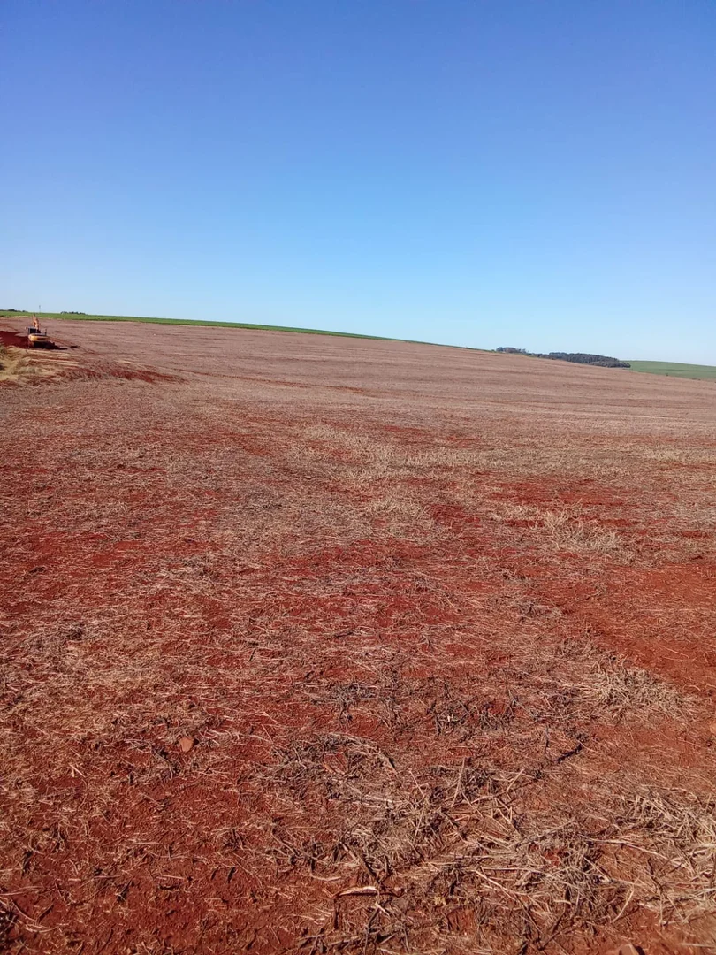 cozinha áreas de terra São José do Inhacorá  RS imagem 3