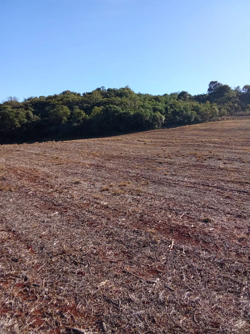 áreas de terra São José do Inhacorá  RS imagem 9