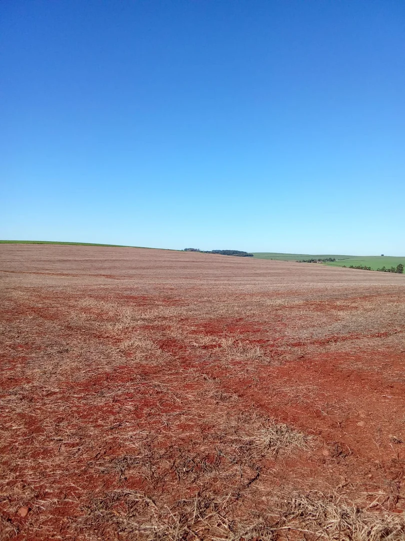 áreas de terra São José do Inhacorá  RS imagem 11