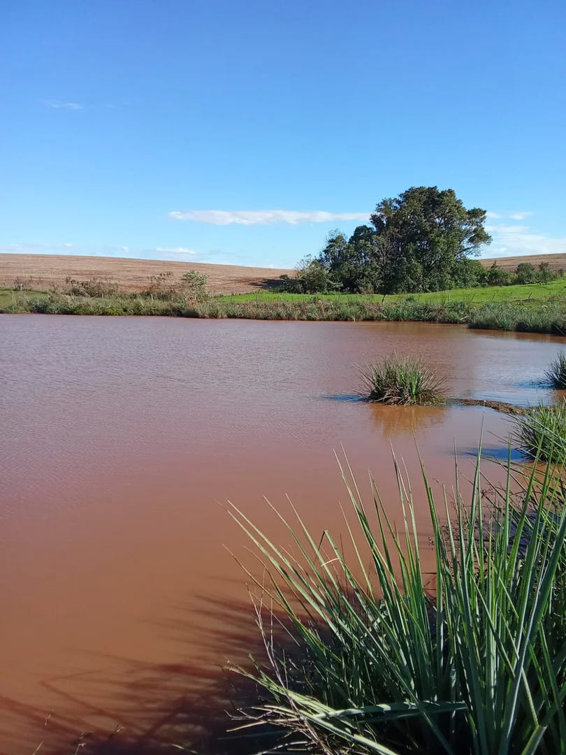 área externa áreas de terra São José do Inhacorá  RS imagem 6