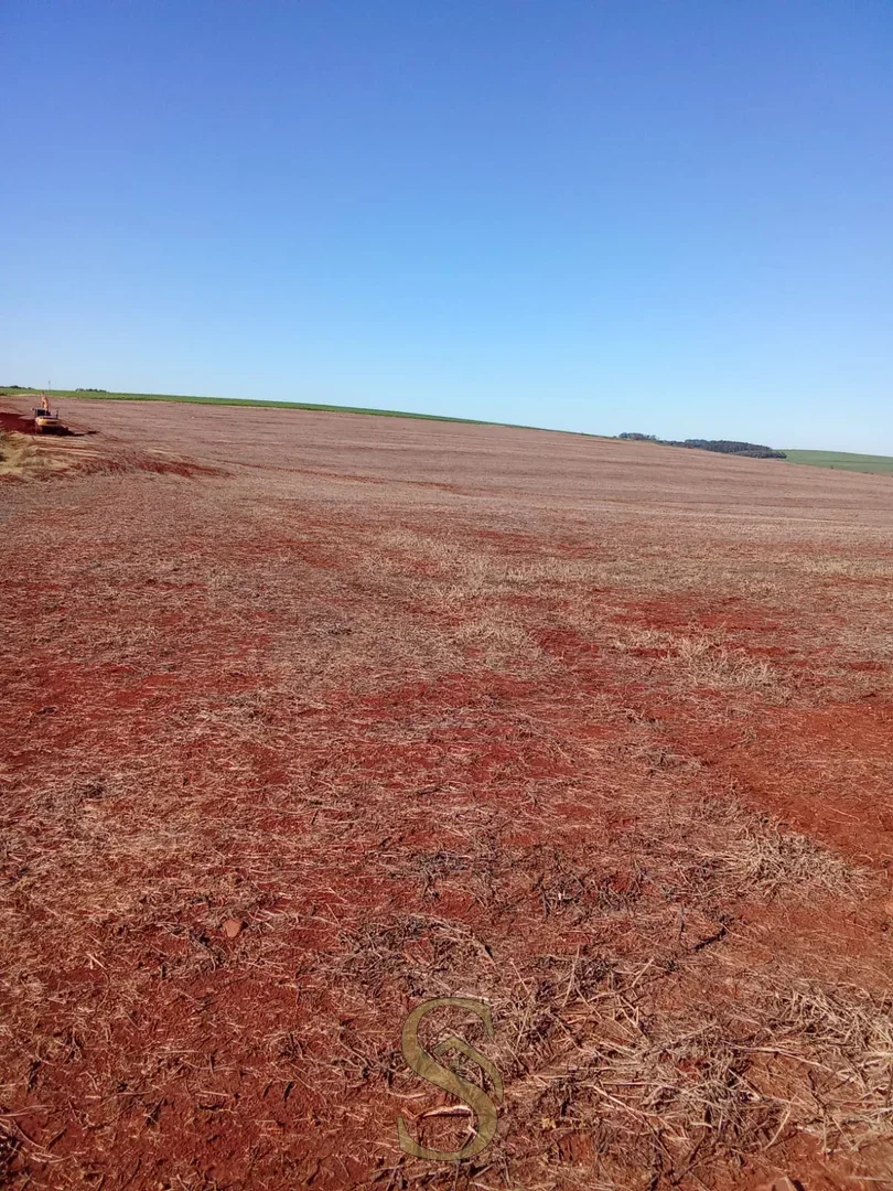 áreas de terra São José do Inhacorá  RS imagem 12