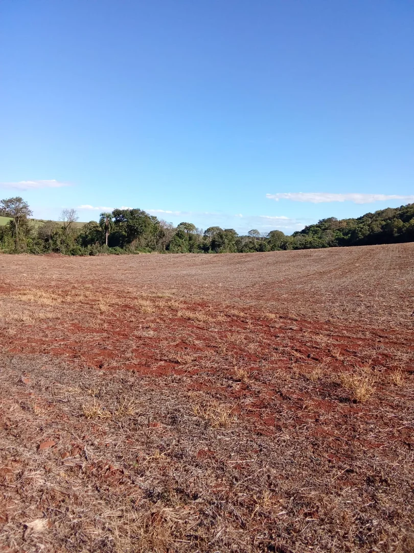 banheiro áreas de terra São José do Inhacorá  RS imagem 5
