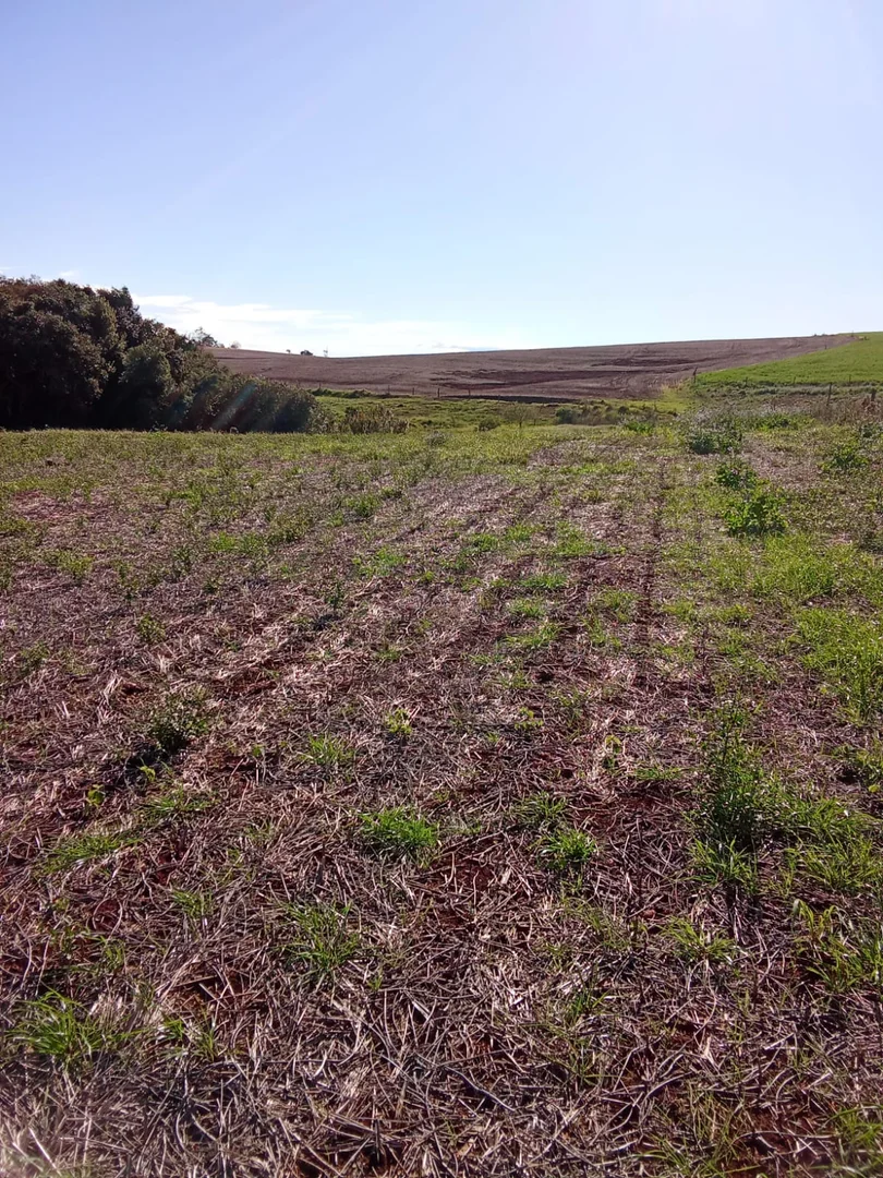 áreas de terra São José do Inhacorá  RS imagem 8